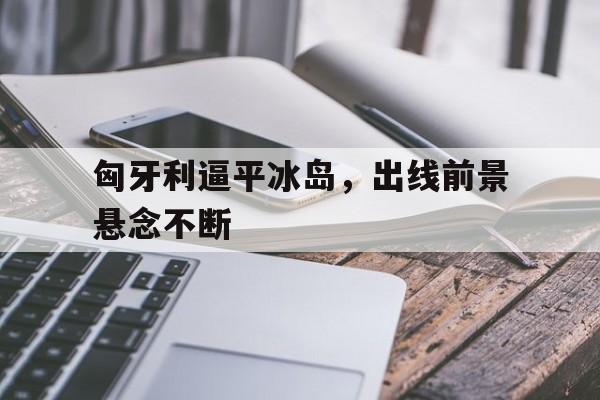 关于匈牙利逼平冰岛，出线前景悬念不断的信息
