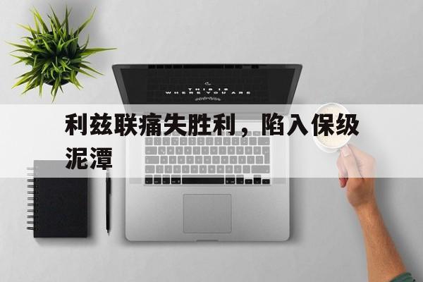 利兹联痛失胜利，陷入保级泥潭的简单介绍